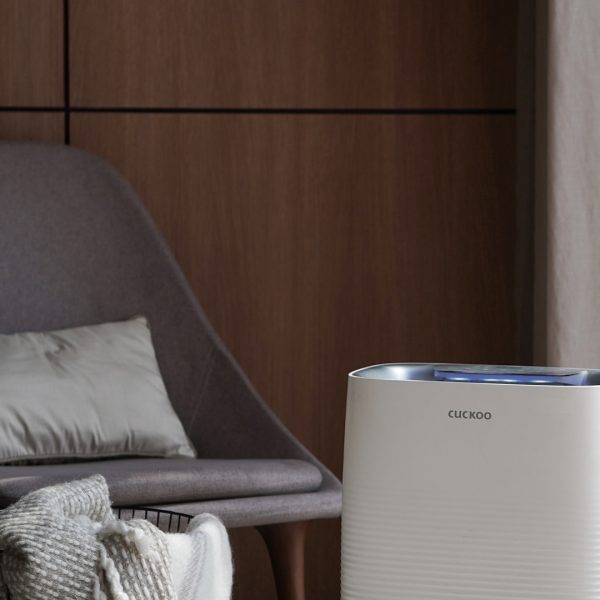 C+ Model | Air Purifier + Humidifier