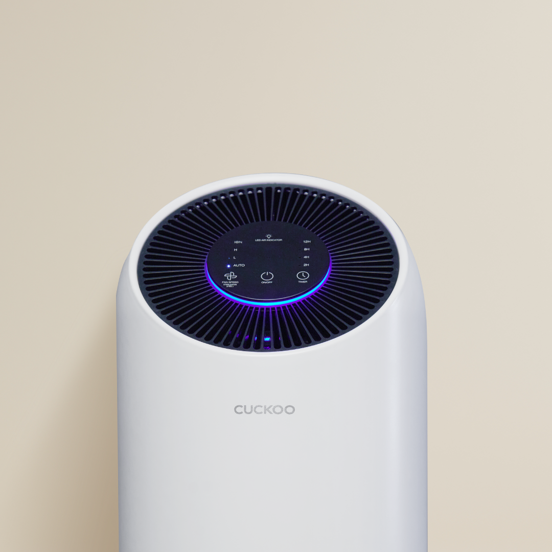 i Model Air Purifier