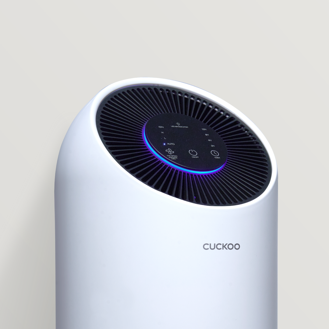 i Model Air Purifier