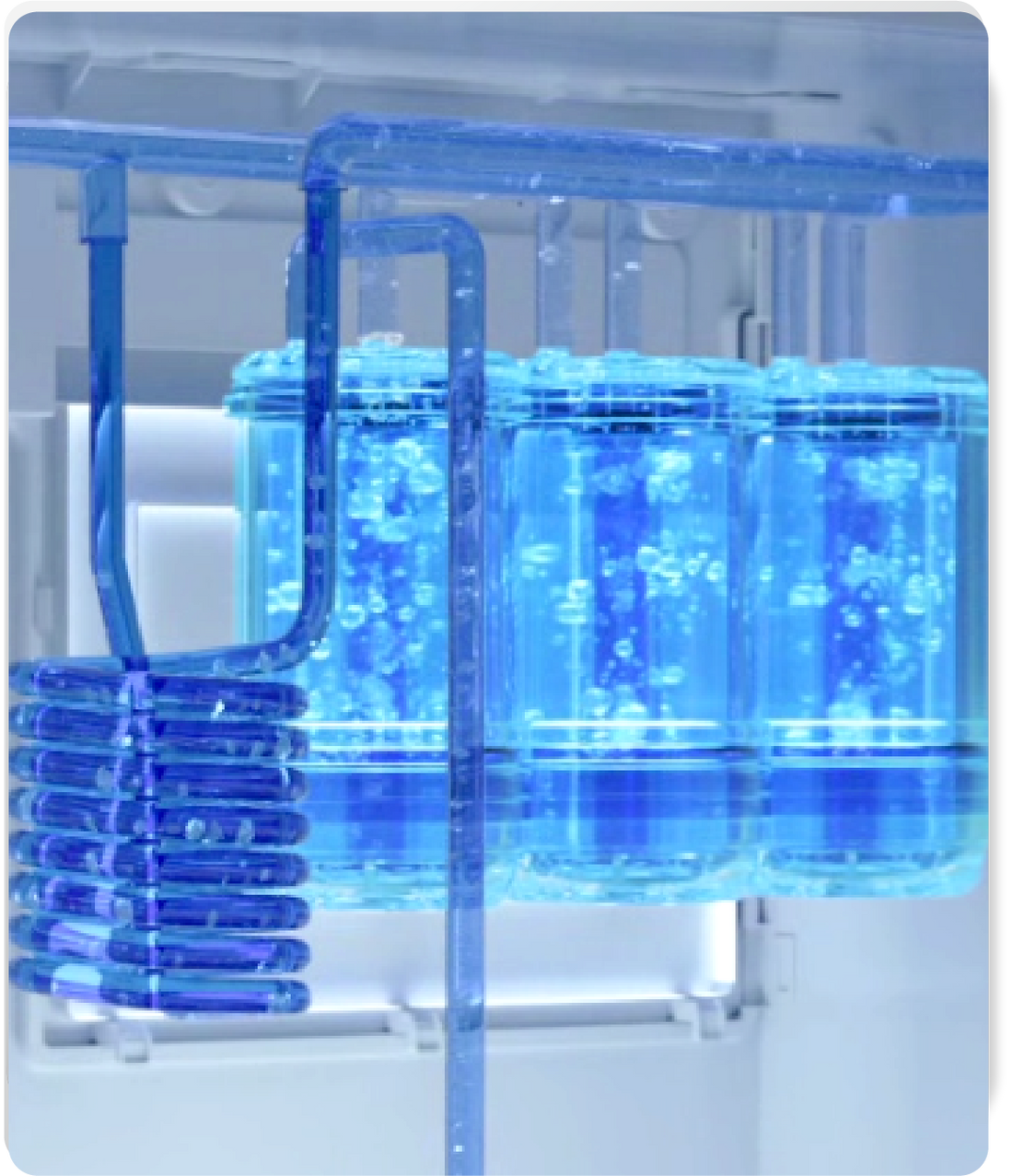 In & Out Auto Sterilisation
